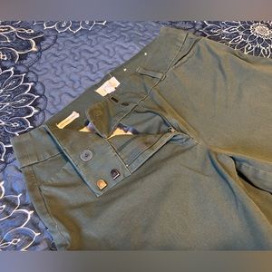 Loft outlet green curvy skinny ankle work pant